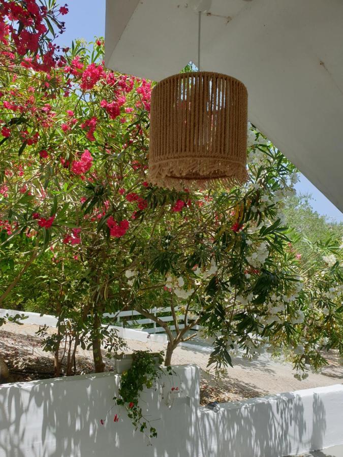 Aktipis Apartament Argassi