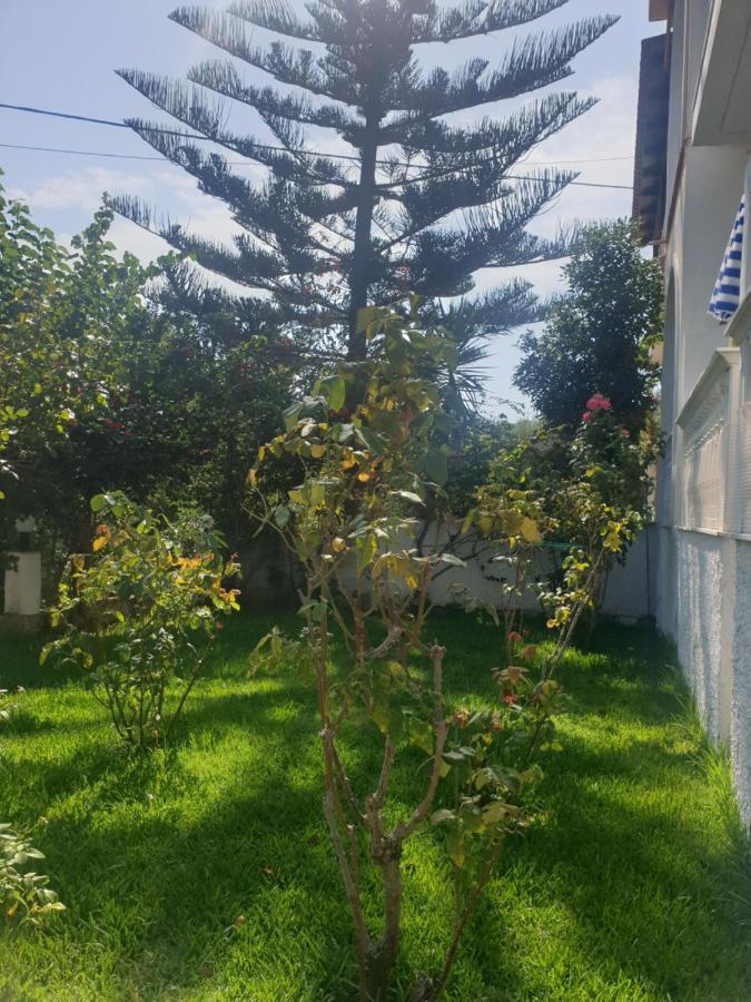 Apartament Aktipis *