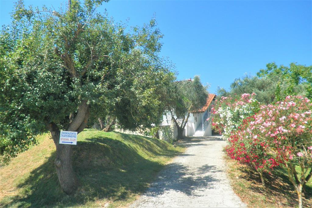 Aktipis * Argassi