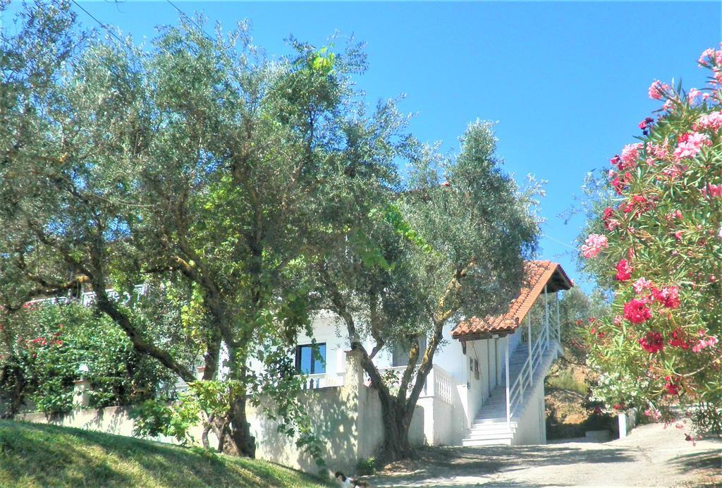 Aktipis Apartament